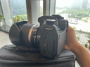佳能/CANON  80D 60D 70D 77D 50D 90D 半画幅 二手单反相机 佳能80D 18-200 IS 套机 99新 实拍图
