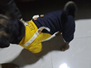 憨憨宠宠物狗狗衣服 狗衣服中小型犬泰迪衣服冬季加绒加厚背带裤猫衣服 黄色背带裤L号推荐10-12斤宠物 实拍图