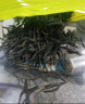 茗杰嫩芽毛尖茶绿茶2025新茶正宗高山新芽花香浓郁味醇耐泡型罐装茶叶 【新品上市】嫩芽毛尖茶500g 实拍图