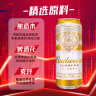 百威金尊啤酒500ml*18听整箱装 单一麦芽10度原麦年货节送礼 实拍图