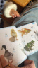 认物大全 儿童早教启蒙书 儿童绘本 婴幼儿启蒙认知早教书 0到3岁2岁宝宝益智书籍 一岁半宝宝看的书 图书书本识字卡片两三岁看图识物 认物大全 600例 实拍图