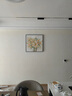 墨派（Mopai）餐厅装饰画手绘油画美式花卉高端客厅肌理挂画正方形壁画免打孔 花开富贵 60*60cm手绘油画 实拍图