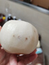 沐小七果蔬 山东莱阳冰糖秋月梨礼盒装【可送货上门】正宗送水果礼盒 大果【单果约200-300g】 5斤【双人畅享-超划算】净4.5斤 实拍图