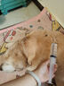 米詅兽药乳酸钠林格注射液猫咪狗狗电解质水代谢性酸中毒体虚脱水兽用 100ml 一瓶装 实拍图
