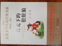月光下的肚肚狼 儿童文学名家经典书系 曹文轩推荐 冰波著作 三四五六年级语文教材推荐课外书目 中小学生课外阅读经典丛书 实拍图