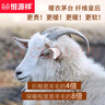 恒源祥【德绒发热】保暖内衣男士含羊绒蚕丝抑菌秋衣秋裤套装 实拍图