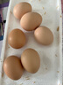 忆乡岭鸡蛋 散养谷物蛋 农家山林喂养 初生鲜土鸡蛋 6枚240g 实拍图