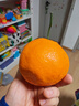 田良季正宗春见耙耙柑【JD/顺丰-多地次日达】桔橘子粑粑柑非丑橘水果 金钻级老树果丨5斤礼箱 更香更甜丨净4.5斤 力荐 顶奢果王丨单果90mm+ 实拍图