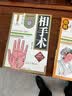 图解相面术相手术相五官 邵伟华原著正版中国古代现代手相面相学全书大全全套3册男女掌纹五官精修版麻衣神相入门基础书籍 【全套3本】相面术+相手+五官 实拍图