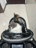 belloS2 轻便可折叠宠物推车狗狗猫咪泰迪婴手小推车儿外出宠物车狗 S2E珍珠白【高颜透气款】 实拍图