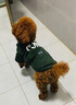 SLPC狗狗衣服小型犬泰迪衣服两脚卫衣猫咪服装比熊博美法斗宠物衣服 墨绿色 XL（8.5-12斤左右） 实拍图