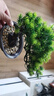 匠心绽放奇松迎客松长寿松仿真松树盆景绿植客厅盆景办公茶室摆件20304 实拍图