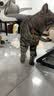 玲珑猫宠物智能可视自动喂食器 猫碗猫粮狗粮定时定量猫咪自动投食器 视频版+2.5L饮水机 实拍图