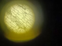 星微光学 生物显微镜专业 学生光学高倍2400X 儿童礼物实验仪器生物教学款 实拍图
