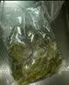 哈皮猴 荣成新鲜盐渍裙带梗海白菜2.5kg裙带菜特产海产 非即食 实拍图