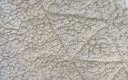 洁丽雅（Grace）双层毛毯冬季 毛毯被午睡毯毛毯盖毯150*200cm 2.2斤 灰色 实拍图