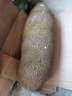 幽果匠海南黄肉菠萝蜜干苞当季新鲜一整个大树木菠萝生鲜三亚特产波罗蜜 25-30斤 实拍图