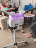 泰东 蒸脸仪 冷热喷雾机 冷热蒸脸器美容院用美容补水仪器家用脸部保湿喷雾 #推荐购买#紫色可调双管冷热喷-KL-839 实拍图