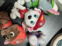 汪汪队立大功（PAW PATROL）汪汪队玩具毛绒全套狗狗玩偶公仔男女孩玩具旺旺队圣诞礼物 7只经典款-小号毛绒 小号-坐高约15.2CM 实拍图