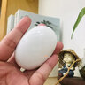 VGBON【电竞降噪】蓝牙耳机半入耳式真无线耳机开放式高品质高音质超长续航迷你舒适运动狂甩不掉送男友 纯洁白【O卡顿/280H待机续航】 【王炸版】无损HiFi原声+蓝牙5.4 实拍图