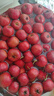 京鲜臻攸新鲜山楂果 当季山里红大金星山楂果冰糖葫芦用果整箱礼盒 严选果3斤【实惠自吃无礼盒】 实拍图