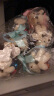 好时（HERSHEY’S） 巧克力喜糖成品6粒 创意小熊透明球婚礼糖盒含糖三八节活动礼物 店家代包 盒装 36g 蓝色 实拍图
