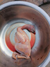 桃李旺（taoliwang） 鹧鸪鸟肉 新鲜飞龙肉现杀品质农家散养老鹧鸪肉生鲜鸠鸟石呱呱鸡 【1只】大鹧鸪 实拍图