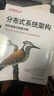 分布式系统架构：架构策略与难题求解 实拍图