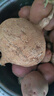 水果凉薯沙地凉薯白地瓜地萝卜皮薄肉多现摘现挖脆甜多汁 水果凉薯1斤±0.1斤 实拍图
