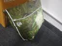 葆贝佳拉拉裤尿不湿宝宝专用成长裤超薄透气训练裤大吸量xl码弱酸亲肤 【拉拉裤】L码32片 建议15-18斤 实拍图