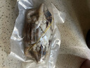 遇上鲜 舟山红膏呛蟹 海鲜 生腌梭子蟹醉蟹 净含量6-8两/只 源头直发 实拍图