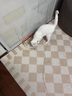 憨憨乐园  猫咪咬咬绳玩具自嗨解闷神器磨牙耐咬猫薄荷小猫幼猫逗猫棒用品 实拍图