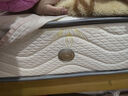 红苹果（RED APPLE） 家具弹簧床垫透气防螨抑菌双面升级加厚20cm家用护脊硬垫M603 5环整网弹簧款厚20cm 中硬护脊 1.8*2.0m 实拍图