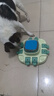 智慧猎犬宠物狗益智玩具漏食玩具磨指甲刮板慢食填充狗粮解闷训练狗狗玩具 智慧拼图慢食磨甲三合一莫兰迪绿 实拍图