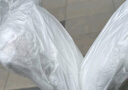 南极人乳胶枕头颈椎枕成人睡觉专用单人学生宿舍整头护颈男士枕芯一对装 针织热熔-白48x74cm单只装 实拍图