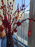 【银柳送挂饰】年宵花⭐真花鲜枝红色客厅室内干花盆栽摆件水培 【10枝】招财银柳-送新春挂件 60cm 实拍图