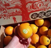 褚橙旗下云冠橙云南冰糖橙子当季新鲜水果手剥甜橙子10斤礼盒 优级10斤礼盒【32个左右】 实拍图