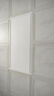 集成吊顶led灯300x300x600铝扣板厨房卫生间灯30x60嵌入式平板灯 【高亮节能】300X600/48W 实拍图