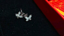 中国黄金（CHINA GOLD）S999足银双蝴蝶耳环女新款耳钉气质饰品七夕送女朋友生日礼物纪念 京速达*蝴蝶银耳钉【999足银】 实拍图