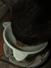 艾尔（Aier）猫粮 深海鱼味成猫幼猫美短英短老年天然粮500g 深海鱼猫粮2.5kg  (500g*5袋) 实拍图