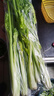 马家沟新鲜蔬菜马家沟空芯芹菜山东特产国家地标生吃的芹菜基地顺丰发货 马家沟优品芹菜4斤泡沫箱发货 实拍图