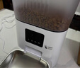玲珑猫宠物智能可视自动喂食器 猫碗猫粮狗粮定时定量猫咪自动投食器 4L自动版【家里没网络选这款】 实拍图