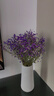 爱满（AIMAN）满天星天然干花花束ins网红生日 新房装饰摆件风干真插花家居摆设 紫色满天星  【不带花瓶】 实拍图
