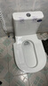 星雨洁 台式蹲便器 坐便器马桶改蹲坑免砌台安装陶瓷水箱一体防臭大便器 400坑距存水弯款喷枪款（包安装拆旧） 实拍图