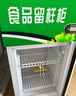 启盟商厨冷藏保鲜幼儿园食品留样柜带锁餐厅食堂家用小冰箱商用展示留样柜 53*53*85cm直冷双锁+温度显示 实拍图