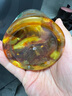 蔚鲜来 脆皮黄瓜248g 香辣酱黄瓜榨菜咸菜下饭菜泡咸菜酱腌菜 实拍图