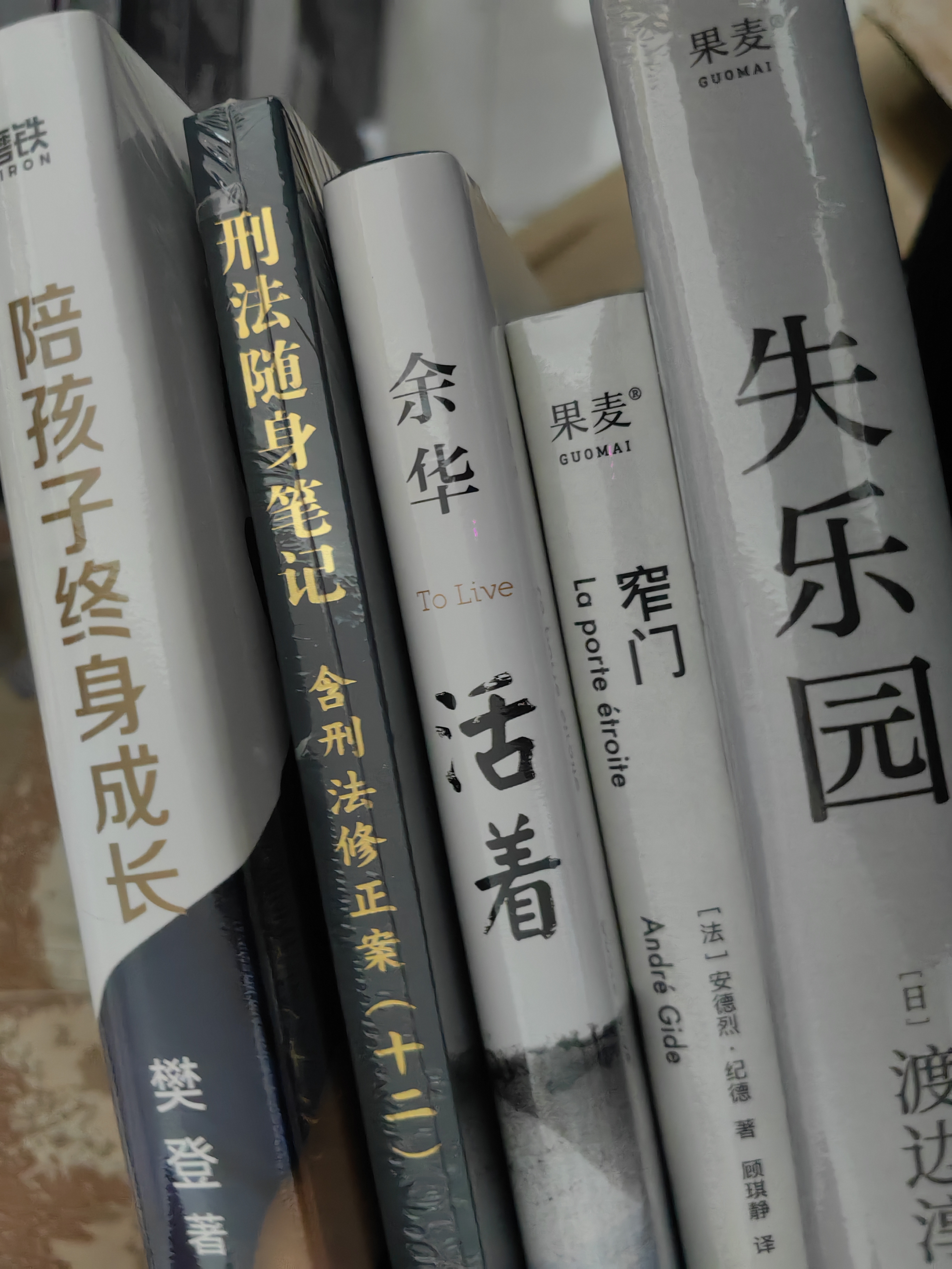 造房子（2016中国好书） 实拍图