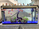 松宝中大鱼缸客厅家用落地懒人生态免换水带柜子一体自循环金鱼水族箱 120CM鱼缸(含显示屏)+造景+木柜 实拍图