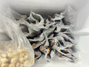 摩飞电器（Morphyrichards） 抽真空封口机家用食品塑封机密封包装机商用保鲜机切割干湿两用 MR1118 标配+真空保鲜袋*9 实拍图