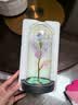 佐之寻情人节520礼物永生花玻璃罩金箔玫瑰摆件母亲节生日礼物女生礼盒 黑底暖灯幻彩白+三叶(含礼盒) 实拍图